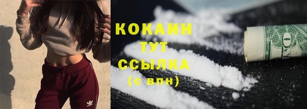 мескалин Бородино